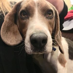 Meet your Posher, Evan